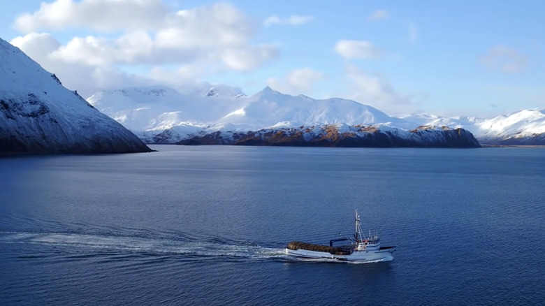 The F/V northwestern sailing through arctic waters