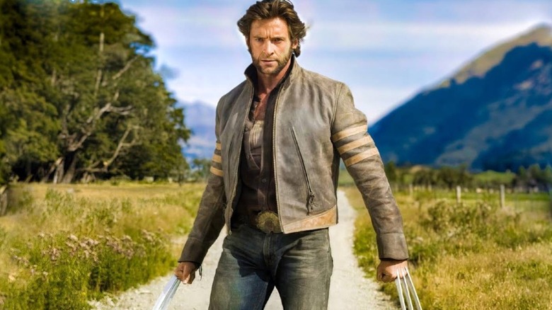 Wolverine in a field