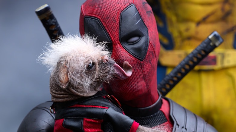 Deadpool holding Dogpool