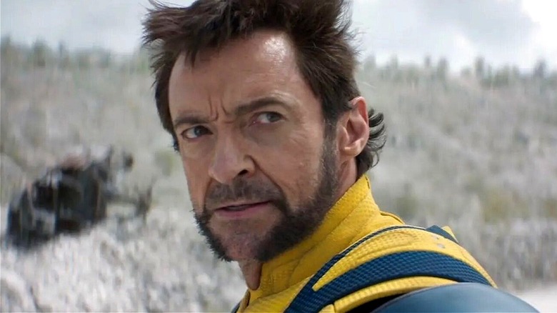 Wolverine looking grumpy