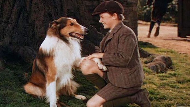 Roddy McDowall and Pal in Lassie Come Home (1943)