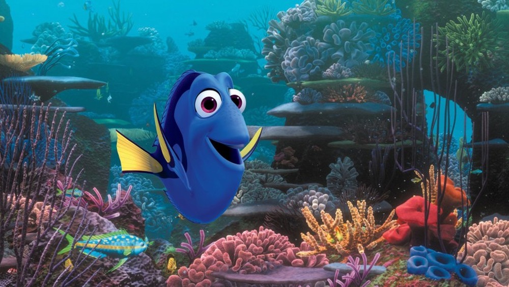 Dory swimming in coral