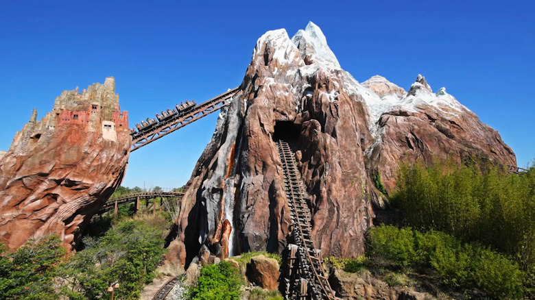 A train ascends the mountain on Expedition Everest