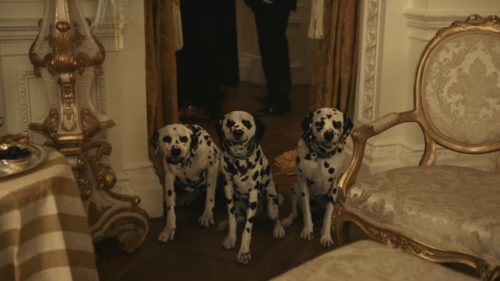 Dalmatians barking at Cruella