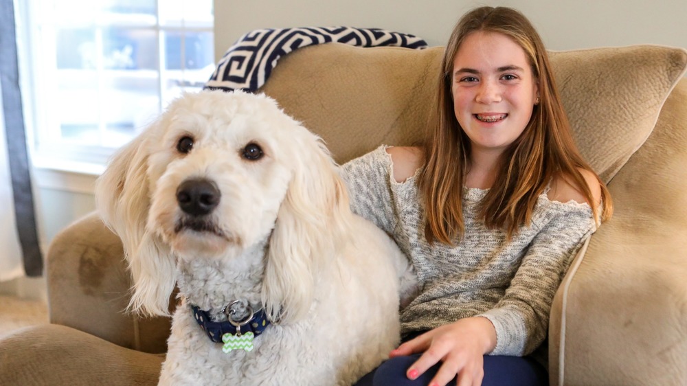 Dog helping a girl