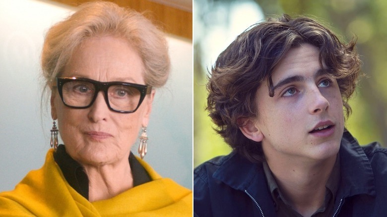 Meryl Streep and Timothee Chalamet