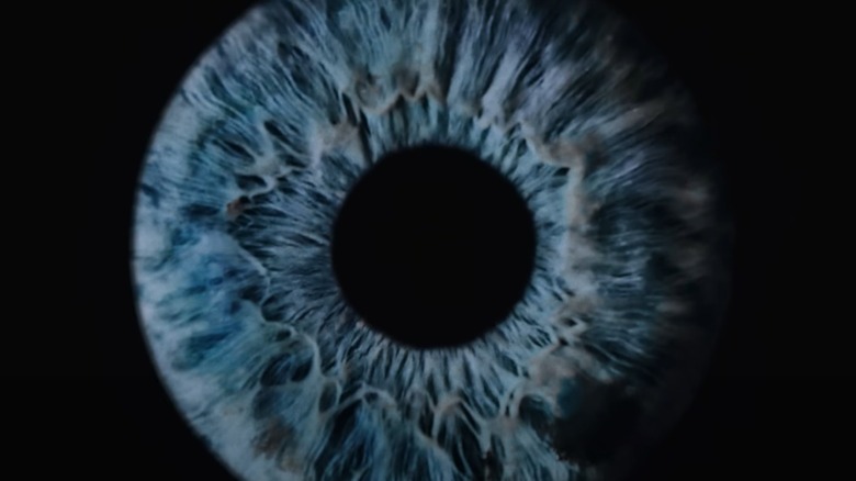 An eye from the Don't Worry Darling trailer