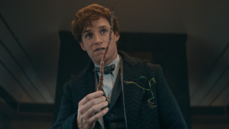 Newt Scamander holds wand and bowtruckle