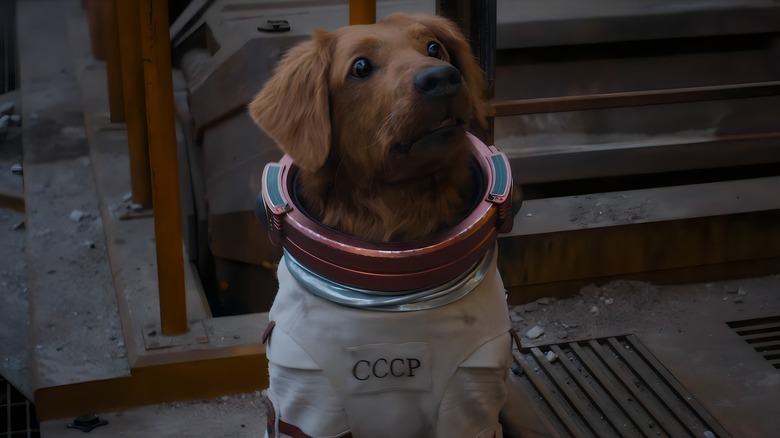 Cosmo the Spacedog wearing space suit