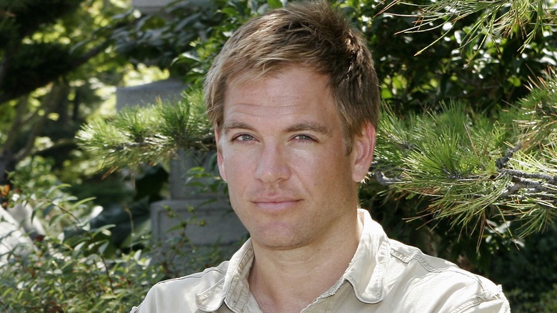 Michael Weatherly circa 2006