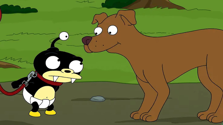 Nibbler looks at a dog