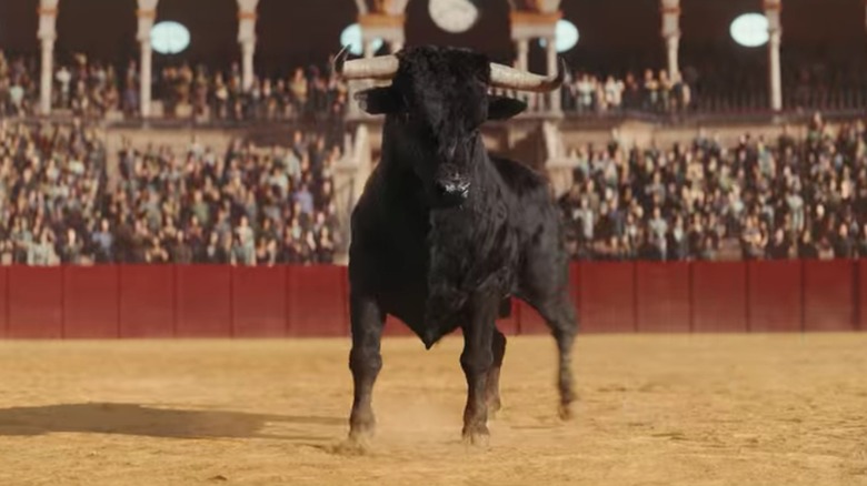 A bull in the fighting arena