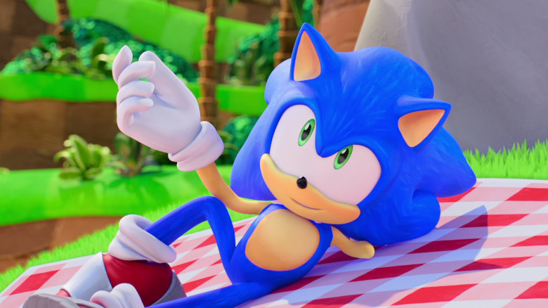 Sonic on a picnic blanket
