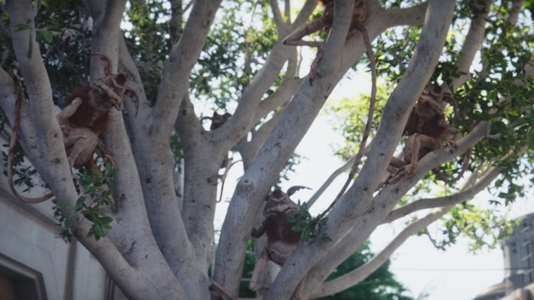 Kowakian monkeys climb a tree