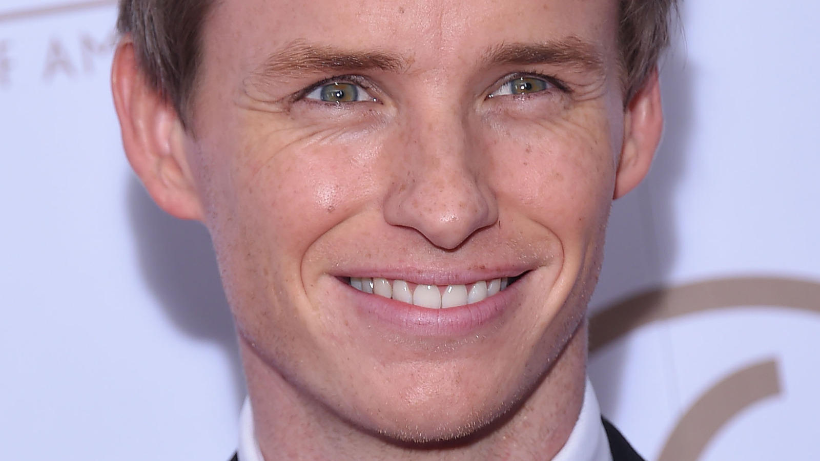 Eddie Redmayne's Role In Fantastic Beasts Served As Sweet Acting Redemption