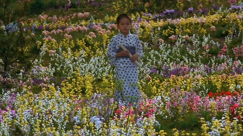 Boy in field of flowers