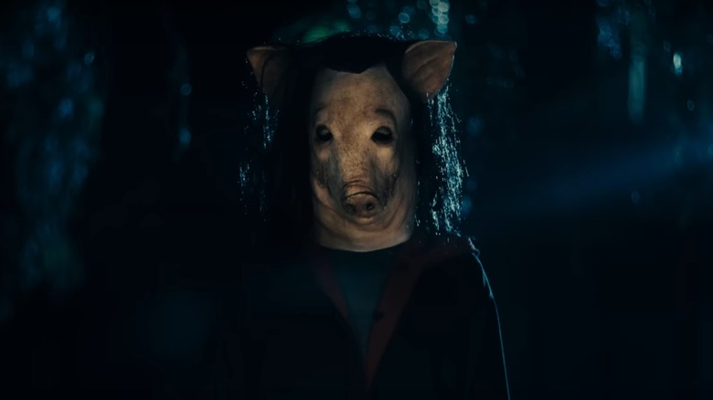 Person wearing pig mask