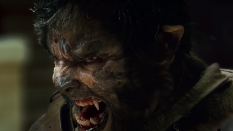 Benicio Del Toro as werewolf