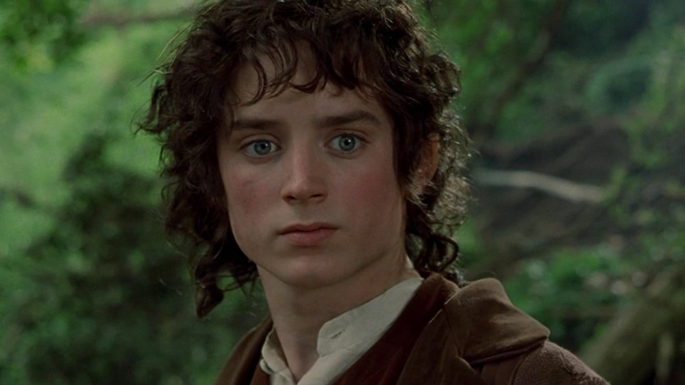Elijah Wood, The Lord of the Rings: The Fellowship of the Ring