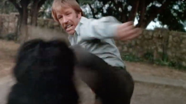 Chuck Norris kicking