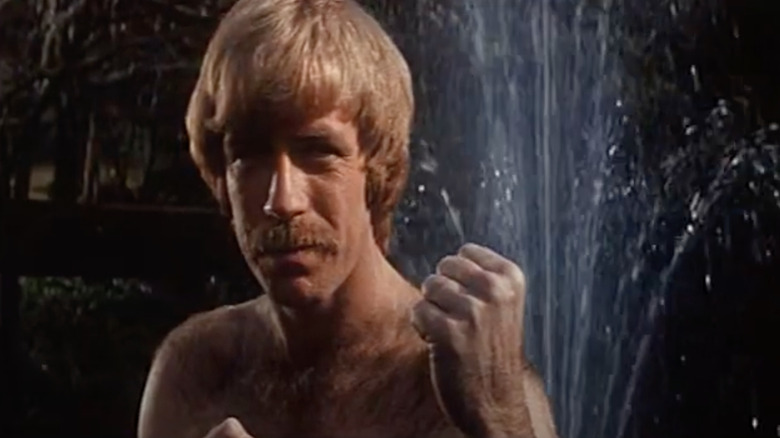 Chuck Norris by water fountain