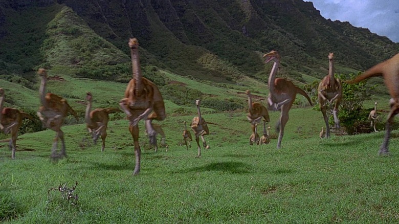 Gallimimus charging through a field