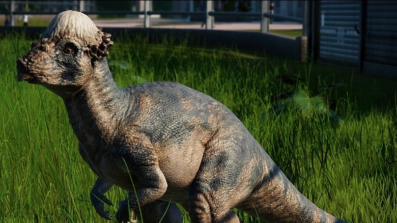 A Pachycephalosaurus from Jurassic World Evolution