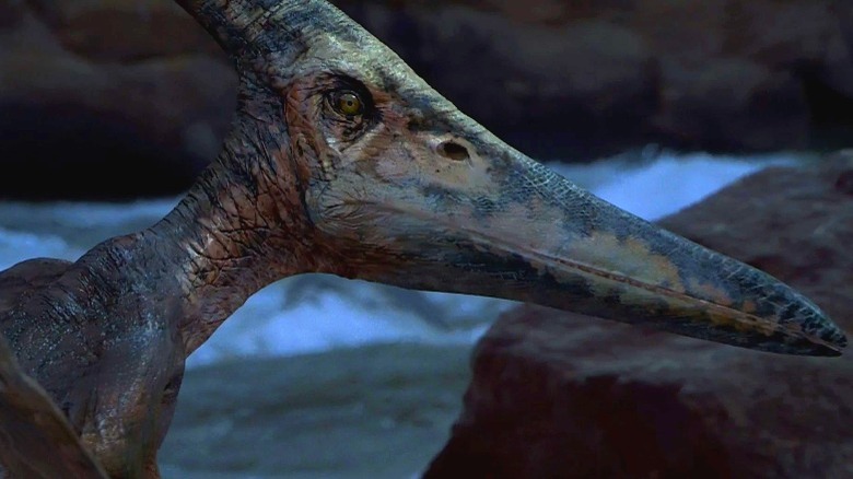 A Pteranodon in the aviary of Jurassic Park 3