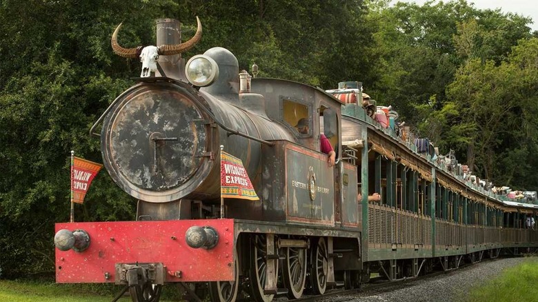 wildlife express train moving forward