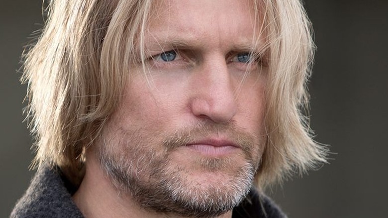 Woody Harrelson as Haymitch