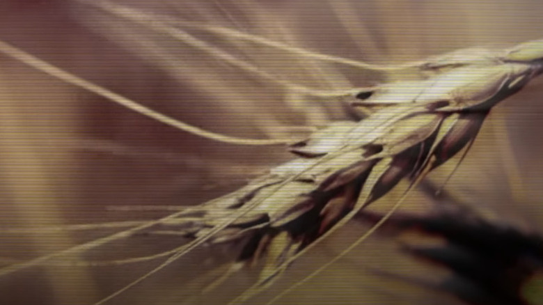 Grain in one of the promotional trailers created for the districts for Catching Fire press