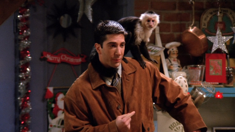 Monkey sits on Ross' shoulder