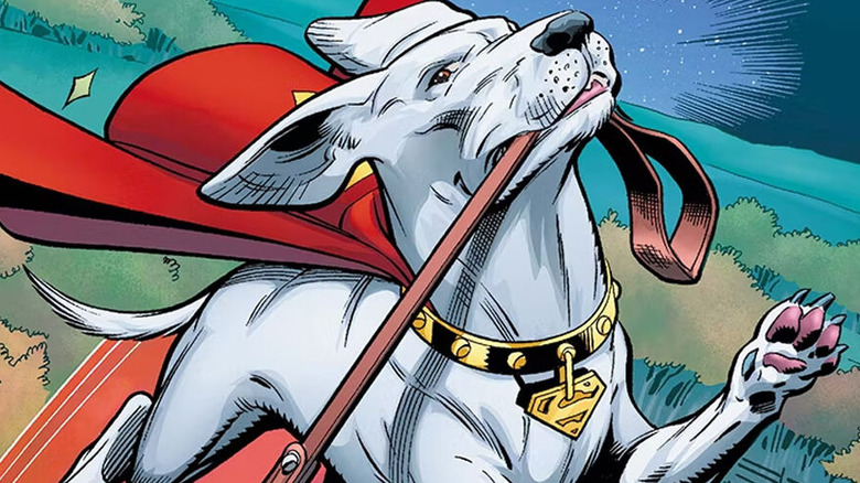 Krypto drags an unseen party about by his leash