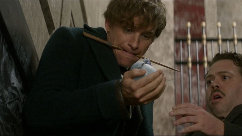 Newt Scamander handles a hatching egg