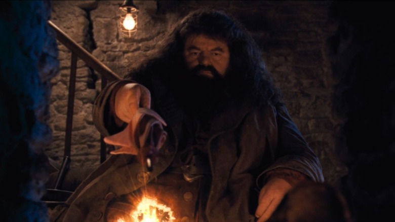 Hagrid starts a fire