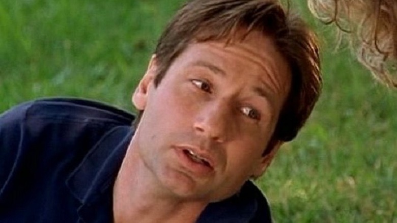 David Duchovny sitting in grass