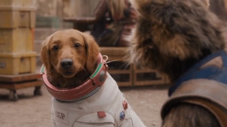 Rocket and Cosmo wearing a spacesuit in Guardians of the Galaxy Holiday Special