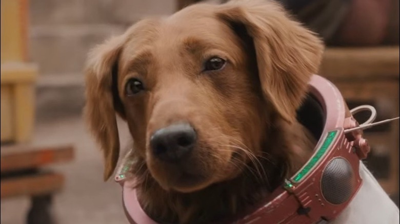 Cosmo the Space Dog wearing a spacesuit in Guardians of the Galaxy Holiday Special