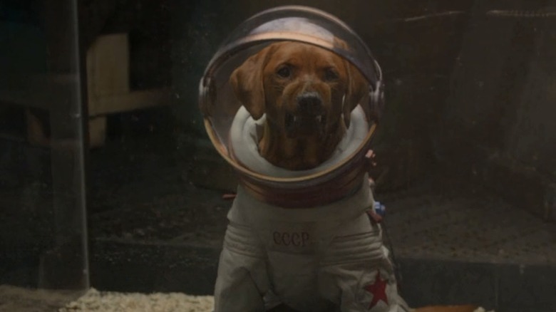 Cosmo the Space Dog wearing a spacesuit in Guardians of the Galaxy