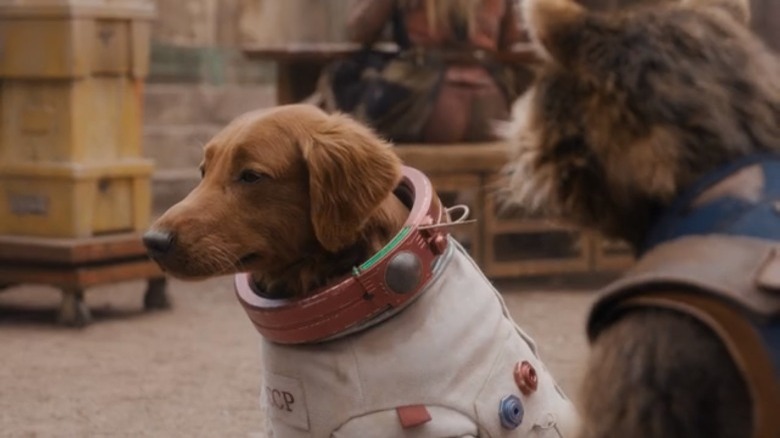Rocket and Cosmo wearing a spacesuit in Guardians of the Galaxy Holiday Special