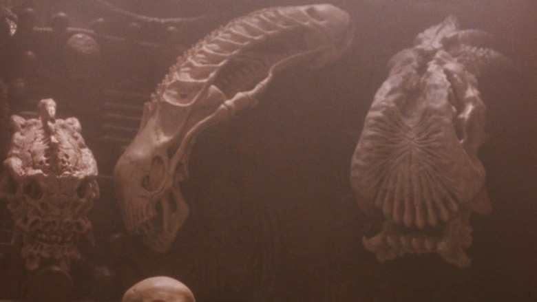 Xenomorph skull on the Predator's trophy wall