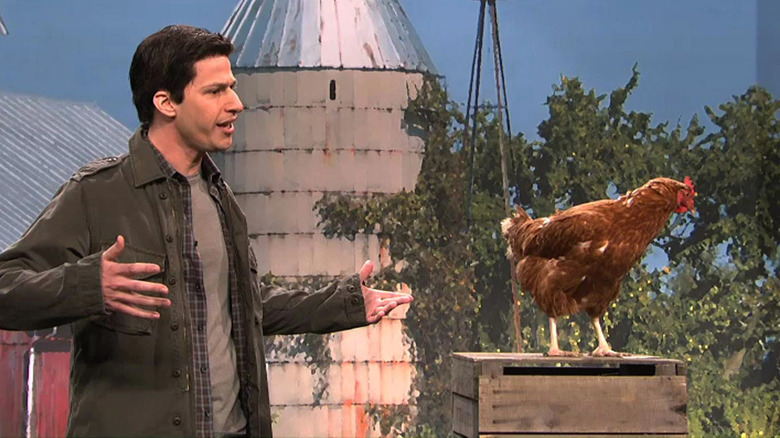 Andy Samberg talks to a chicken