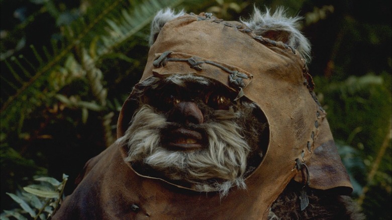 Wicket Warrick smiling in forest