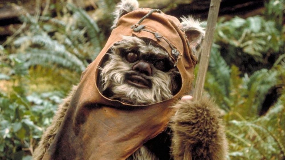 Ewoks: The Battle for Endor