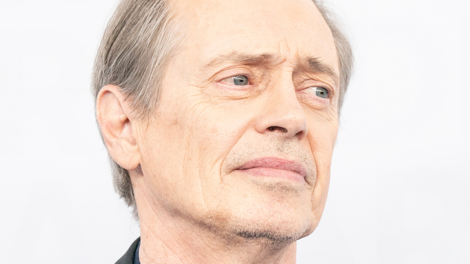 What Steve Buscemi Thinks Happened To Mr. Pink At The End Of