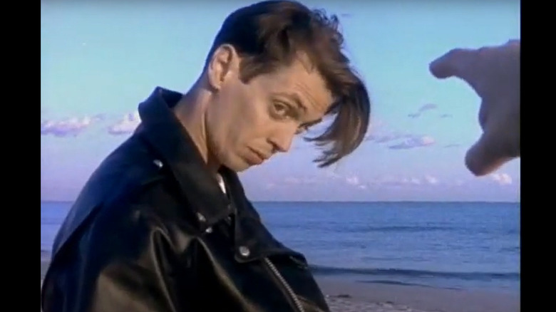 Steve Buscemi on a beach