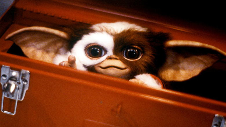 Gizmo cute mogwai in suitcase