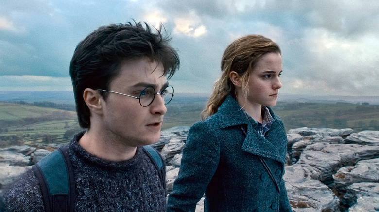 Harry and Hermione staring out frightened