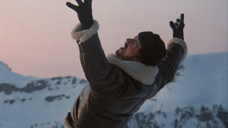 Rocky posing on a mountain top