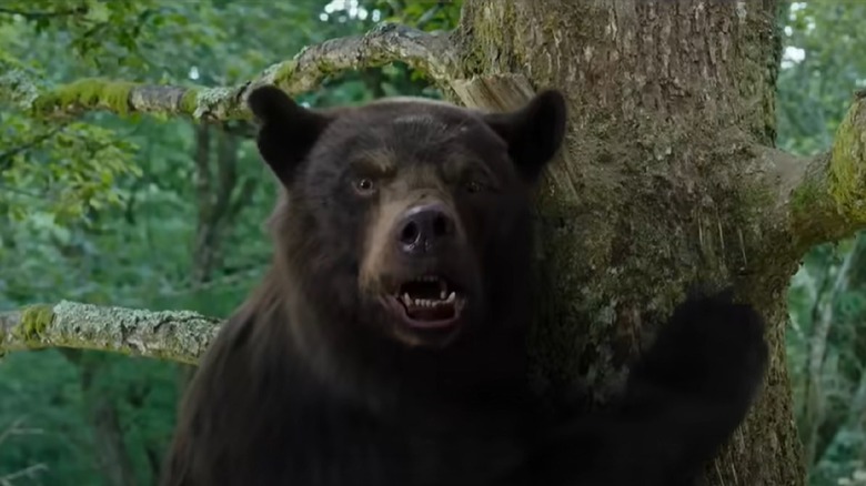 The titular ursine of Cocaine Bear